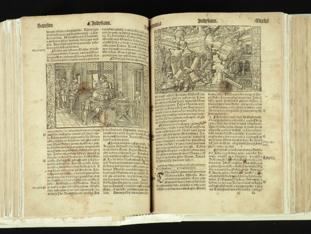 Fond sbírkové knihovny