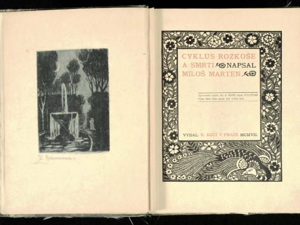 Fond sbírkové knihovny