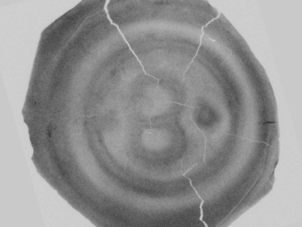 Rentgenový snímek popraskaného stříbrného brakteátu.