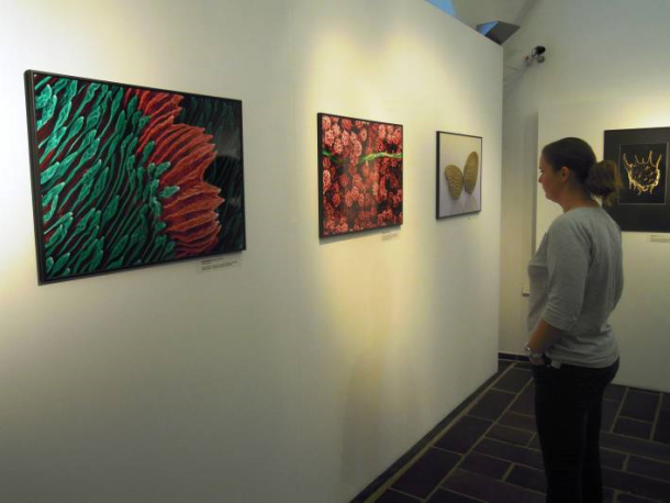 Z výstavy TAJEMSTVÍ ROSTLIN