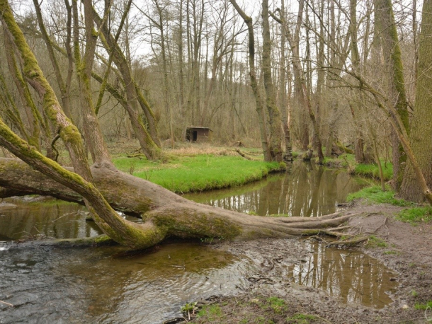 PR Roztocký háj - Tiché údolí a PR Údolí Únětického potoka