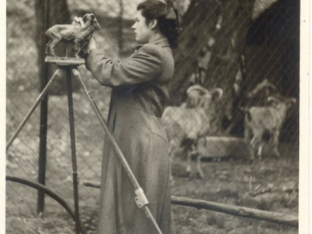 Viděno rukama. Sochařské dílo Marie Leontovyčové. Již jen do 20. května