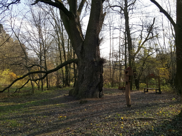 PR Roztocký háj - Tiché údolí a PR Údolí Únětického potoka