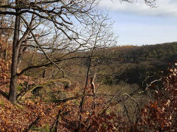 PR Roztocký háj - Tiché údolí a PR Údolí Únětického potoka