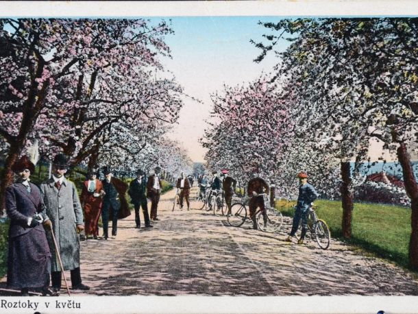 Roztoky v květu, kolorovaná pohlednice, 1910–1920, 9 x 13 cm