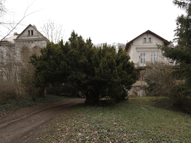 Foto Daniela Vokounová