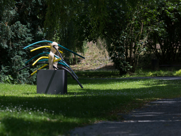 Foto Pavel Matoušek 