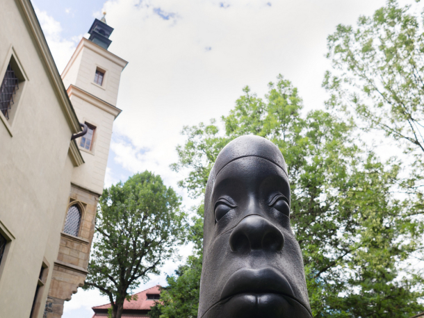 Foto Pavel  Matoušek 