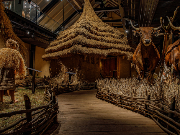 Archevita – Stopami věků