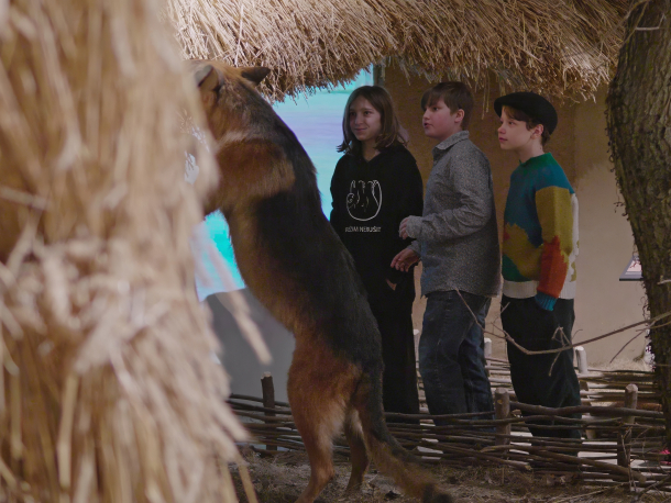 aktivita v prostorách expozice Archevita