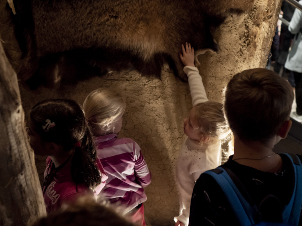 Lektorský program | Pohleď z Archevity