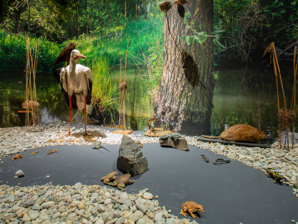 Středočeské muzeum v Roztokách u Prahy_výstava Pod vodou i nad vodou