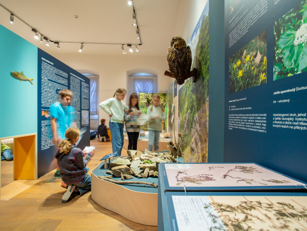 Středočeské muzeum v Roztokách u Prahy_výstava Pod vodou i nad vodou