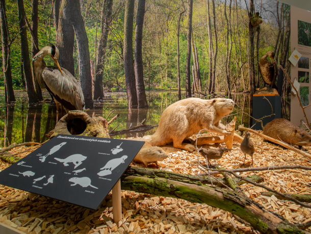 Středočeské muzeum v Roztokách u Prahy_výstava Pod vodou i nad vodou