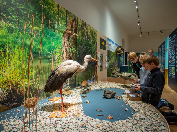aktivita ve výstavě Pod vodou i nad vodou