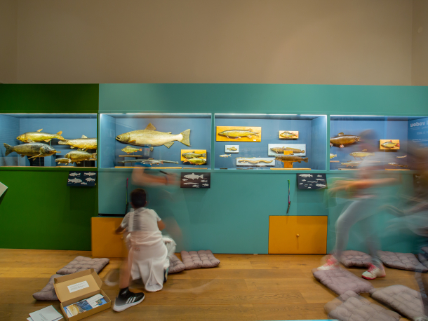 aktivita ve výstavě Pod vodou i nad vodou