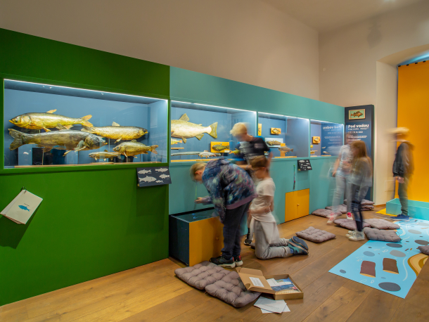 aktivita ve výstavě Pod vodou i nad vodou