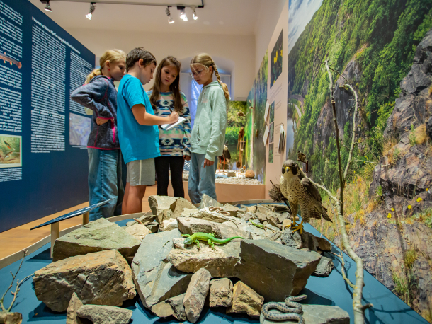 aktivita ve výstavě Pod vodou i nad vodou