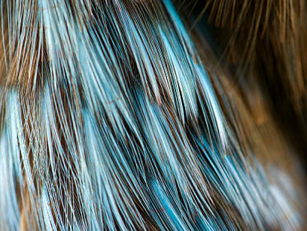 Středočeské muzeum - lektorský program