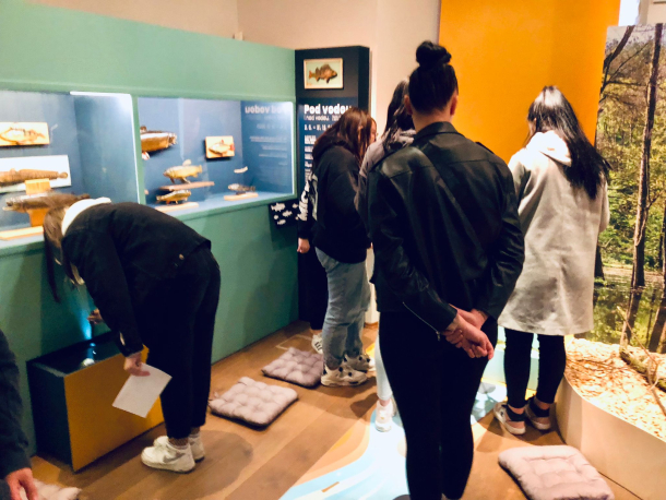 aktivita ve výstavě Pod vodou i nad vodou