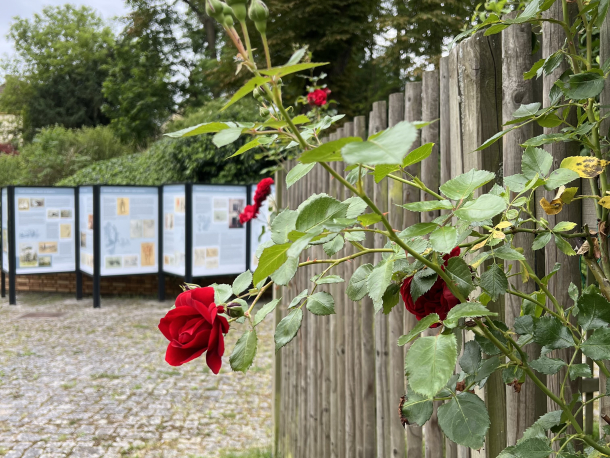 Výstava Zdenka Braunerová... tužkou, uhlem, štětcem, rydlem... 