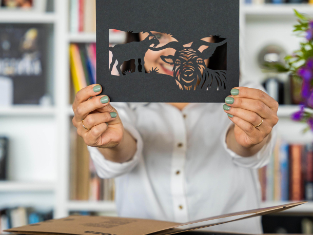 Marcela Vostřelová: Meky Mek