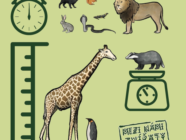 Mezi námi zvířaty