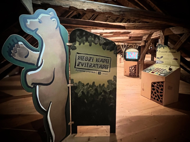 Mezi námi zvířaty