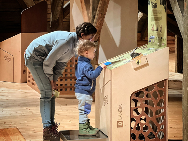 Mezi námi zvířaty