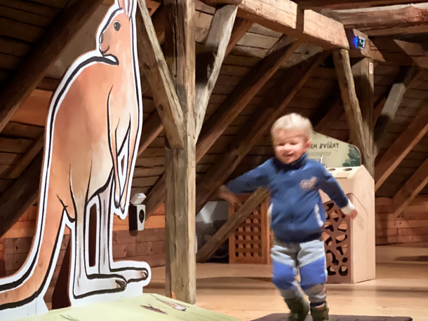 Mezi námi zvířaty