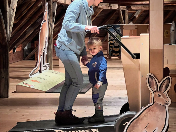 Mezi námi zvířaty