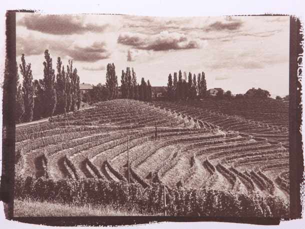 Slaný papír | Kurzy historické fotografie