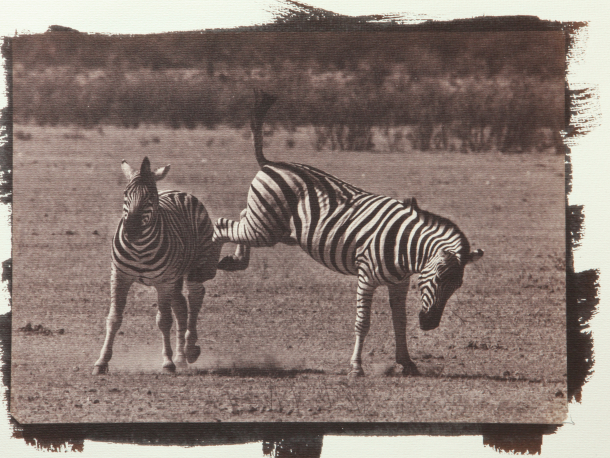 Van Dyke proces | Kurzy historické fotografie