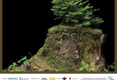 Plakát Příběhy české přírody