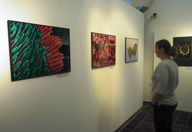 Z výstavy TAJEMSTVÍ ROSTLIN