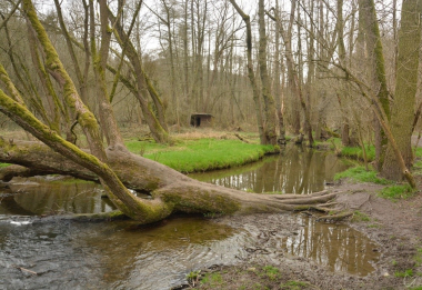 PR Roztocký háj - Tiché údolí a PR Údolí Únětického potoka