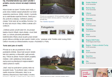 Český rozhlas Region  