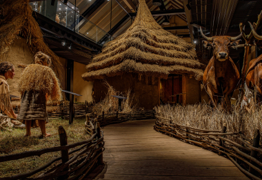 Archevita – Stopami věků