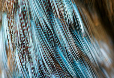 Středočeské muzeum - lektorský program