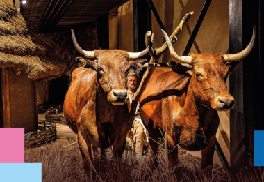 Den otevřených dveří v archeologické expozici ARCHEVITA s Kde fondy EU pomáhají