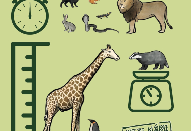 Mezi námi zvířaty