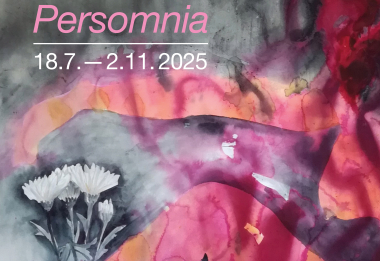 Výstave Marie Ladrové Persomnia ve Středočeském muzeu v Roztokách u Prahy